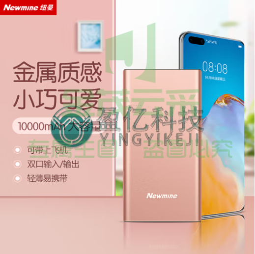 纽曼 （Newmine ）移动电源10000毫安时双USB输出Type-C输入金属充电宝M106