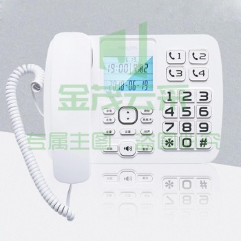 飞利浦(PHILIPS)CORD168 办公家用固定电话 白色.