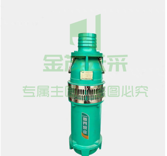 单项污水电泵