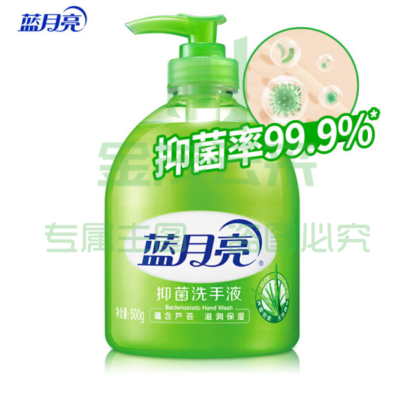 蓝月亮 芦荟抑菌洗手液500g瓶