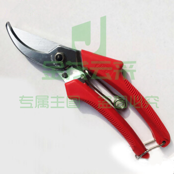 修枝剪 小手剪 树枝剪果树剪子剪刀园林工具粗枝剪