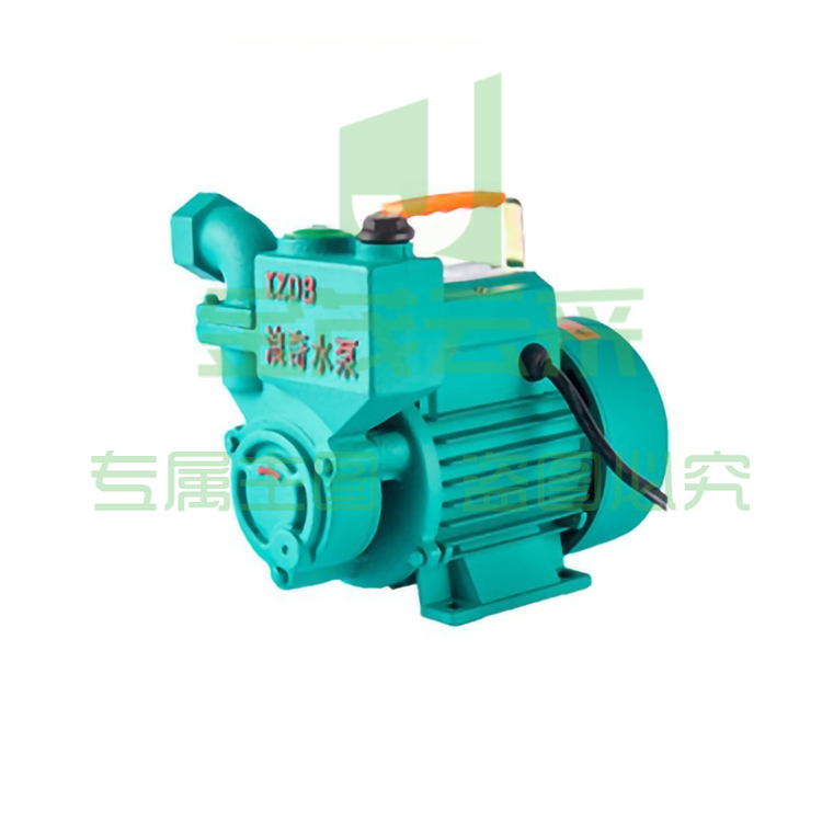 浪奇 IZDB-65-750W 自吸泵