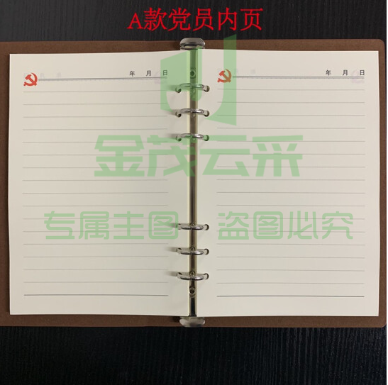 A5活页纸  可替换内芯 党员学习笔记本活页内芯