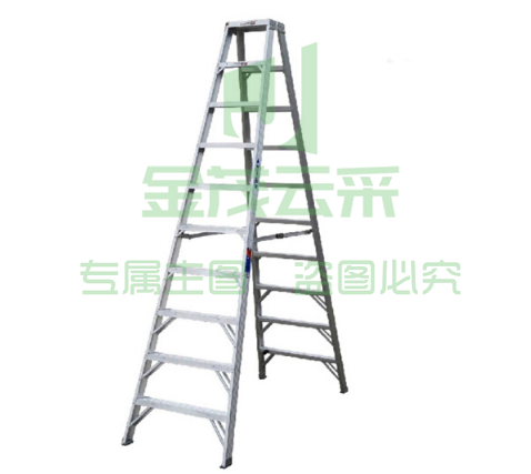 稳耐（werner）T310CN铝合金双侧梯