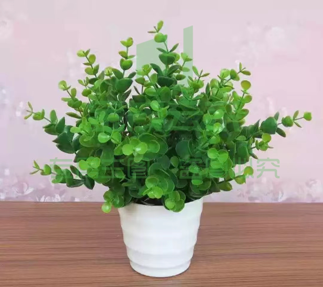 装饰花束仿真植物尤加利