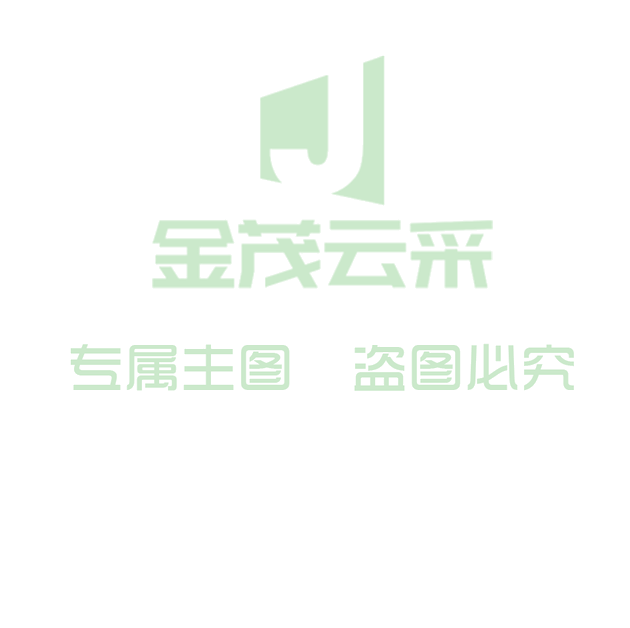 舞蹈服装 单位：套
