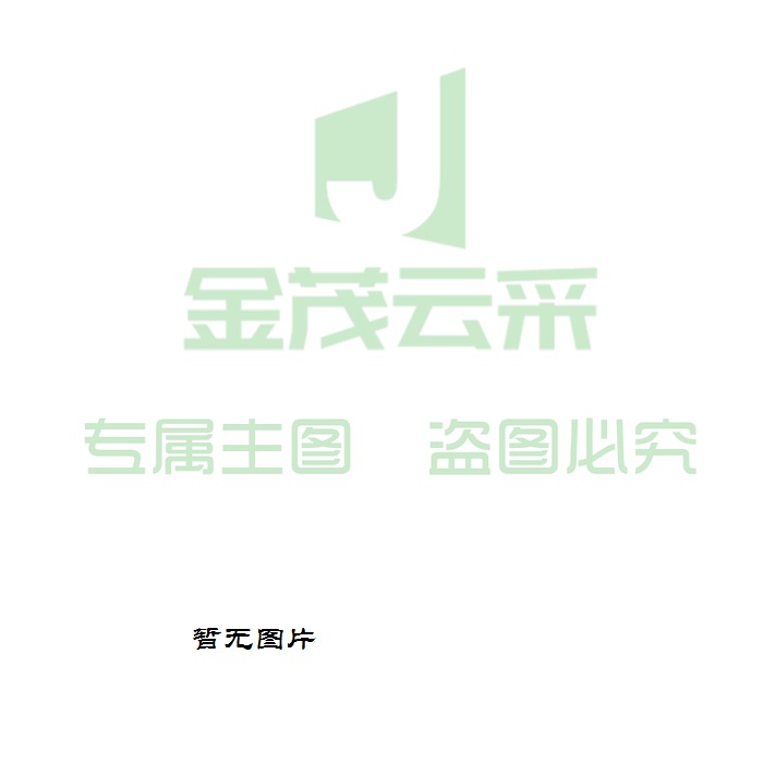 宣传册 单位：个