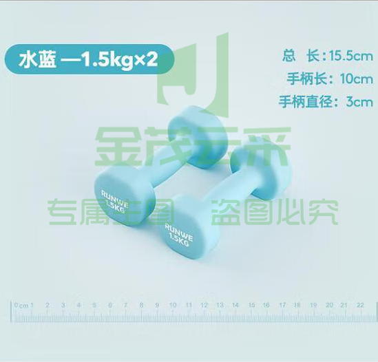 朗威 家用健身小哑铃 铸铁哑铃 1.5kg*2