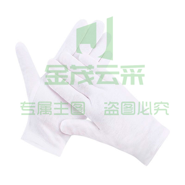 盛港（SHENGGANG） 礼仪手套 薄棉白色手套 珠宝文玩检阅接待表演通用手套 劳保白手套 12付