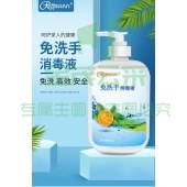瑞普安 免洗洗手液 500ml 单位：瓶