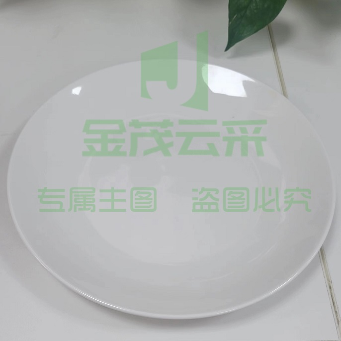 密胺盘 单位：个