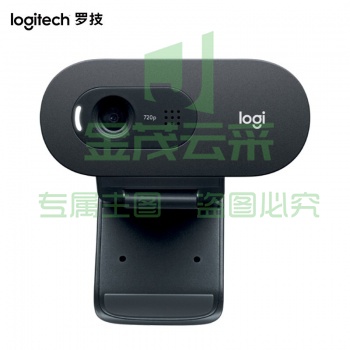 罗技（Logitech）C505e高清网络摄像头 电脑办公摄像头 视频会议网课在线远程教育摄像头 C505e pcyg-2022092035948