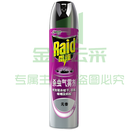 雷达(RAID) 600ml 无香喷雾杀虫剂 24瓶/箱 pcyg-230129125209