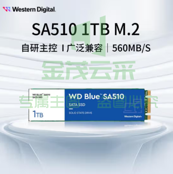 西部数据（WD) 1TB 笔记本台式机电脑 SSD固态硬盘 SA510 SATA M.2接口 Blue系列 3D技术  WDS100T3B0B  pcyg-230625184148
