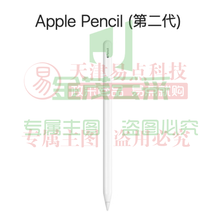 Apple Pencil (第二代) 适用于 2022/2021款12.9 英寸和11英寸iPad Pro/2022款10.9英寸iPad Air（可当天配送发货）