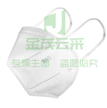 N95 口罩（可当天配送发货）