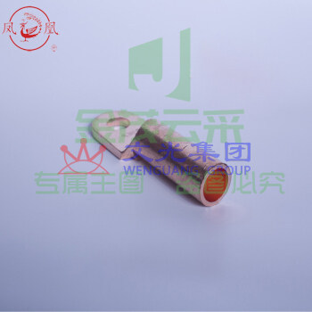 凤凰 DT--10国标A型 铜端子铜鼻子（可当天配送发货）