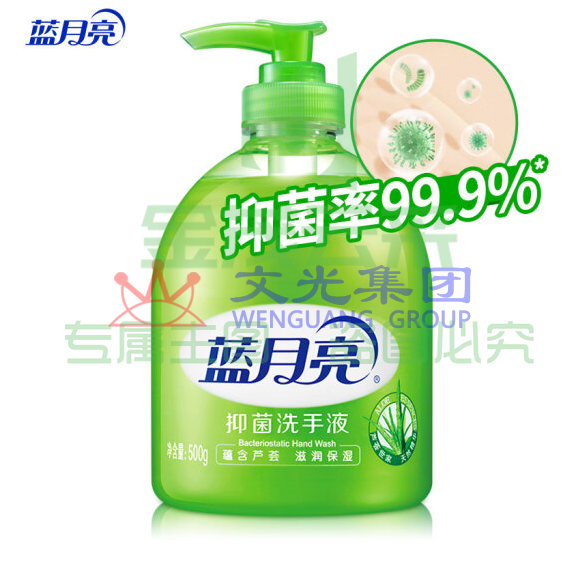 蓝月亮洗手液 芦荟抑菌 500g/瓶 （可当天配送发货）