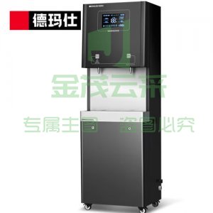 德玛仕 DEMASHI SRZ-30/SRZ-2L-L5 商用直饮水机 单位办公室开水器 净水器大型直饮机 一开一净