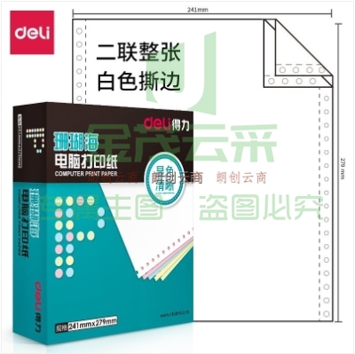 得力(deli)中档珊瑚海 二联整张撕边电脑打印纸 白色针式打印纸(241-2S色序:全白1000页/箱)