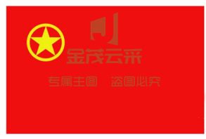 团旗 中国共青团团旗3号