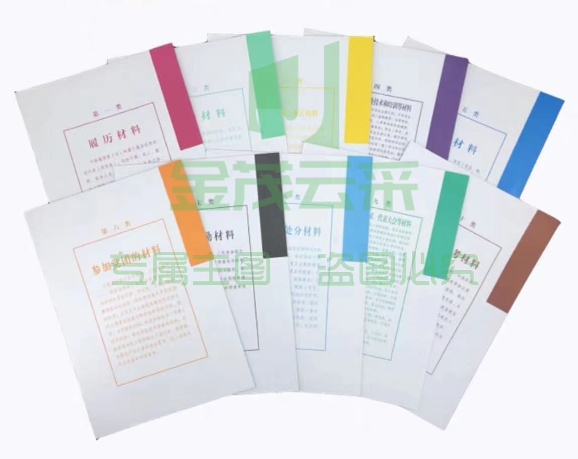 巨联 A4 干部人事档案分页纸 10张/套(单位 套)