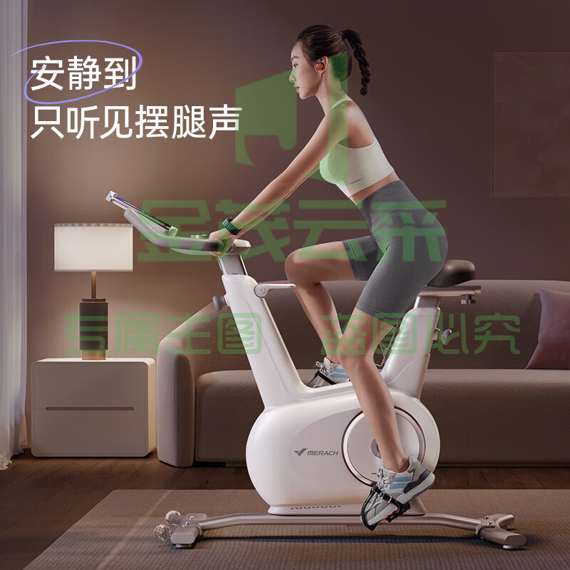 麦瑞克（MERACH）动感单车家用智能调阻运动健身器材室内自行车 绝影mini MR-S17W2