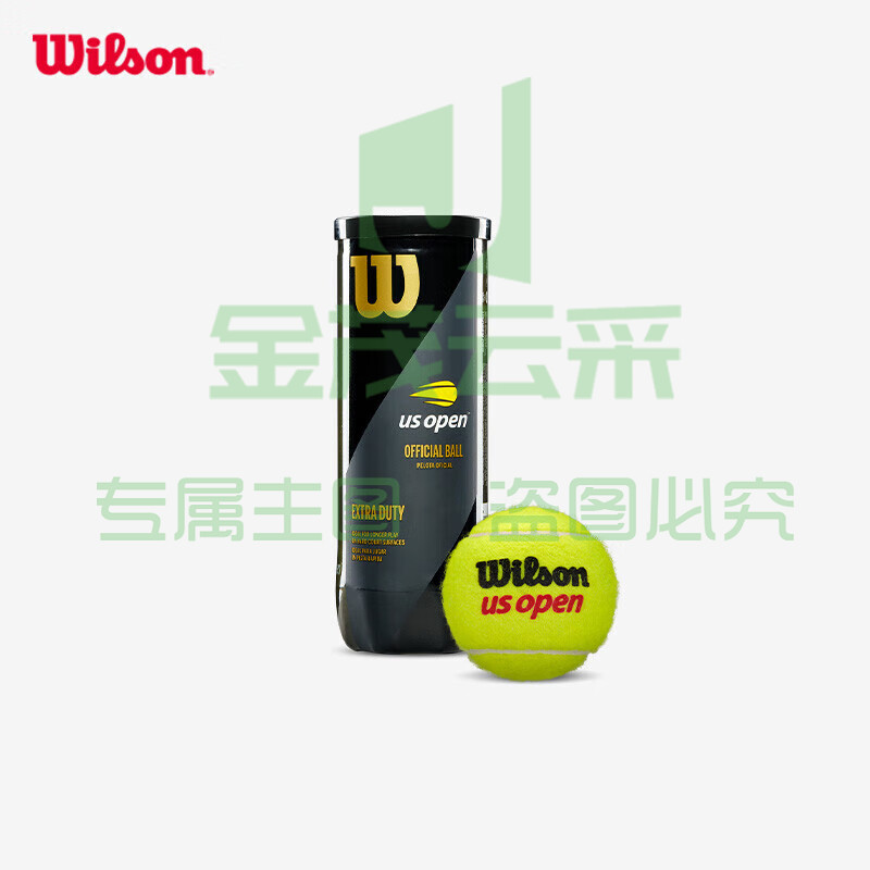 Wilson威尔胜美网比赛训练网球塑罐3粒WRT106200
