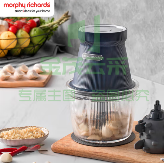 摩飞电器(Morphyrichards)绞肉机 家用绞馅机 碎肉机 电动多功能辅食料理机打蒜搅拌 佐料机 MR9402A蓝色