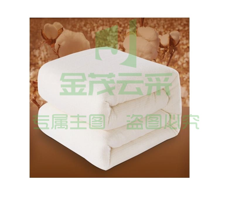 朵馨  厚款丝绵被芯