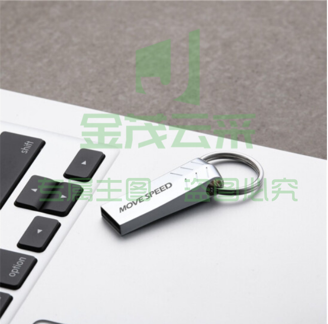 移速（MOVE SPEED）32GB U盘 USB2.0 小枫叶系列 银色 防水便携自带钥匙环 金属迷你车载电脑两用u盘优盘