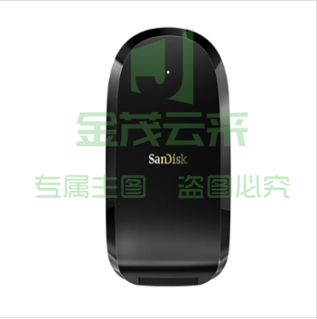 闪迪(SanDisk)SDDR-F451-ZNGNN CFexpress读卡器 至尊超极速 支持USB3.1高速读取