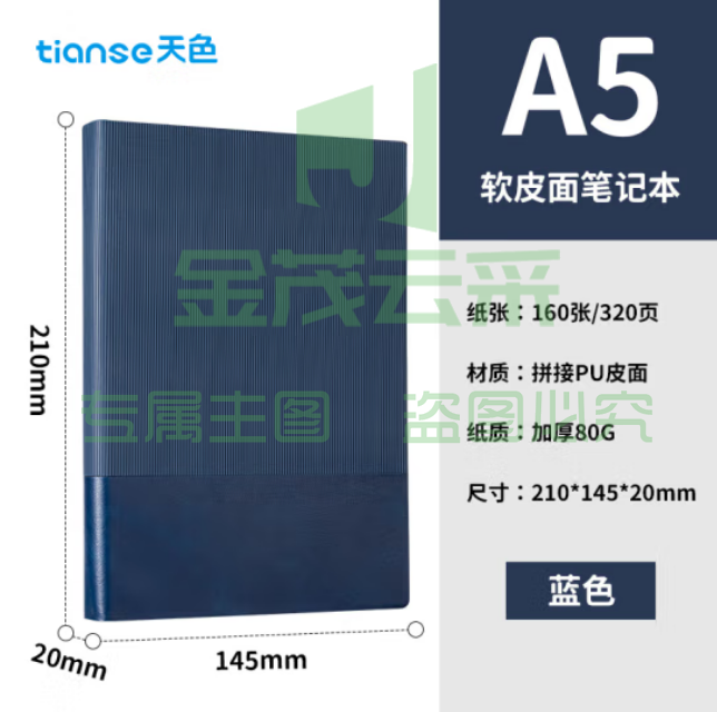 天色（TIANSE）A5笔记本 软皮面记事本 会议记录本 TS-4171 蓝色（本）