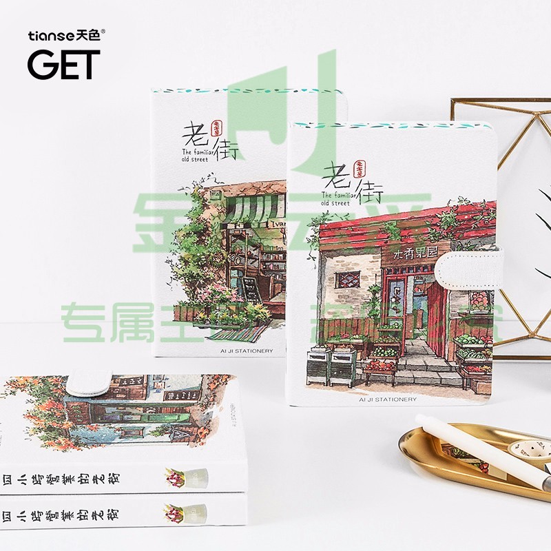 天色（TIANSE）笔记本 插画手账本记事本 日程本办公记录本子TS-4021 图案随机