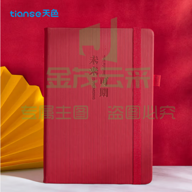 天色（TIANSE）A5笔记本 360页日程本 TS-4148 红色（未来可期）（本）