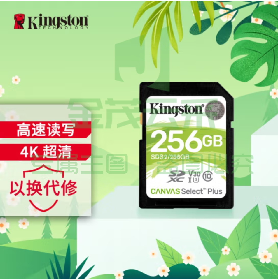 金士顿（Kingston）256GB SD存储卡