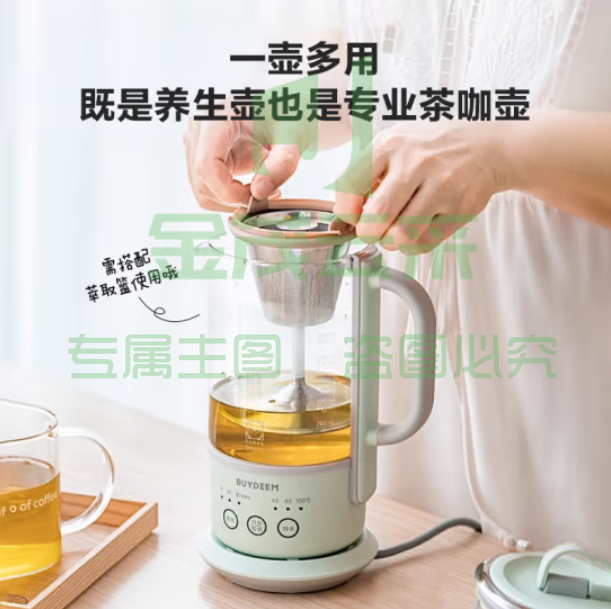 北鼎（Buydeem）烧水壶多功能分体式煮茶器 K36浅杉绿+迷你萃取篮