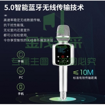 权盟炫声麦R2 pro无线蓝牙话筒音响一体麦克风 直播旗舰版带U段 IT.1722