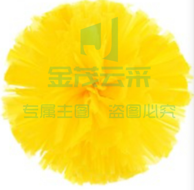 啦啦队花球124体育运动防撞设备 各色可选