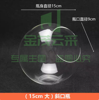 园艺加厚高品质透明平底吊瓶 球形斜口苔藓微景观玻璃花瓶 多肉器皿