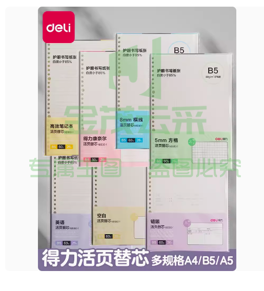 得力活页笔记本替芯 A5/20孔