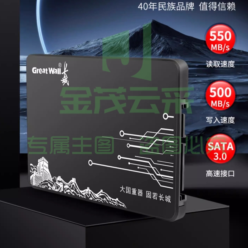 长城（Great Wall）GW600 SSD固态硬盘2.5寸SATA接口台式机笔记本硬盘大容量电脑硬盘老电脑升级扩容 读速高达530MB/s 256GB