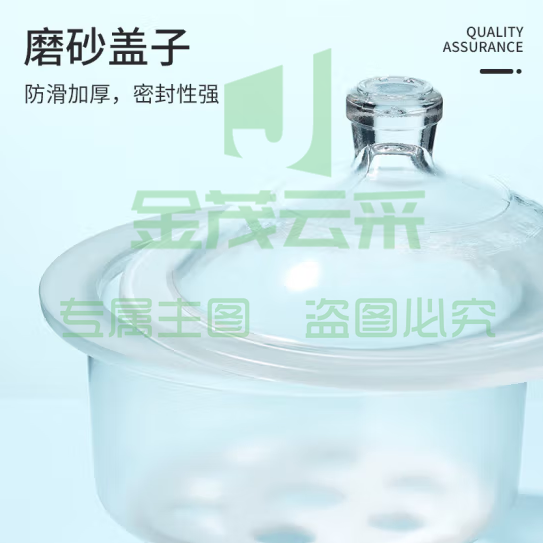 比克曼生物 湘玻 玻璃干燥器干燥皿真空实验室多规格除湿加厚玻璃耐高温腐蚀 【180mm】盖子透明 (