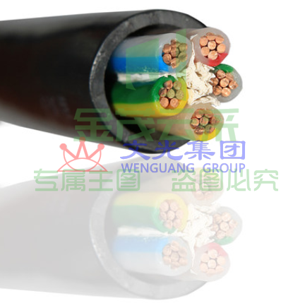 10平方5芯电缆  不带铠（可当天配送发货）