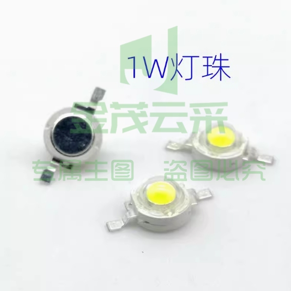 箜竹小灯珠