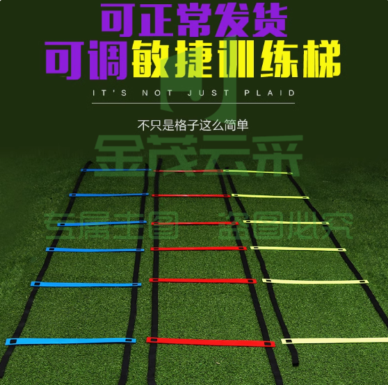 绳梯敏捷梯跳格梯足球训练器材体能训练梯速度梯步伐梯篮球训练  加厚款7米13节【颜色随机】