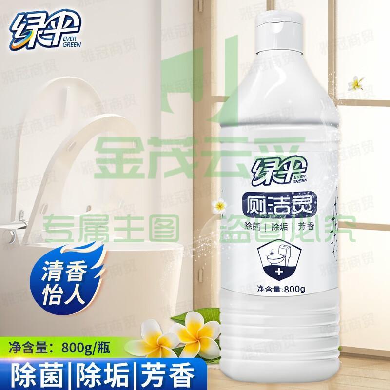 绿伞家用清香洁厕灵抑菌洁厕净800g（1瓶）