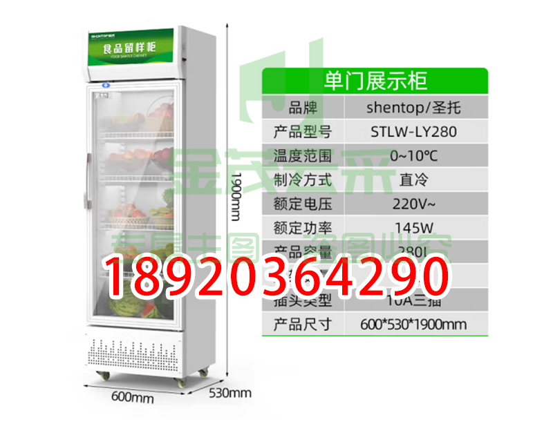 )食品留样柜商用   圣托(Shentop蔬菜水果冷藏柜冰箱 单门展示柜学校幼儿园食堂保鲜柜 STLW-LY280