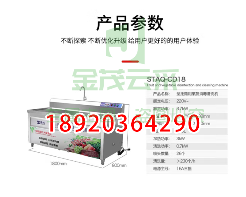圣托(Shentop)酒店饭店大型洗菜机商用 河鲜果蔬臭氧洗涤机 自动蔬菜水果涡流清洗机 STAQ-CD18