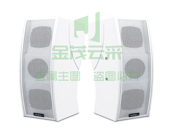 教学扩声系统音箱 SP590